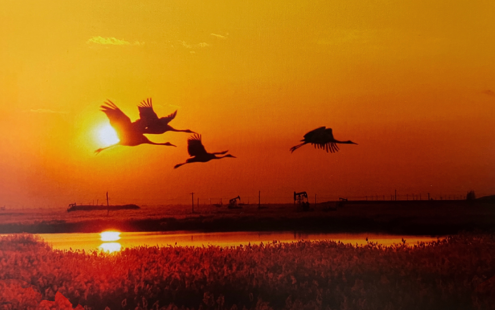 乡村振兴元问题：建设一个什么样的村庄？(图5)