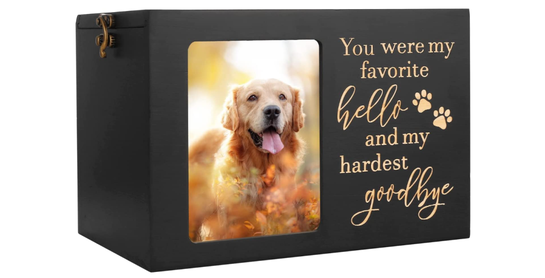 亚马逊每日一店103丨宠物丧葬市场：新兴市场中的新机会？