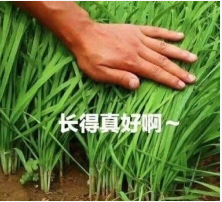 负债13亿美元！这家美国巨头宣布倒闭