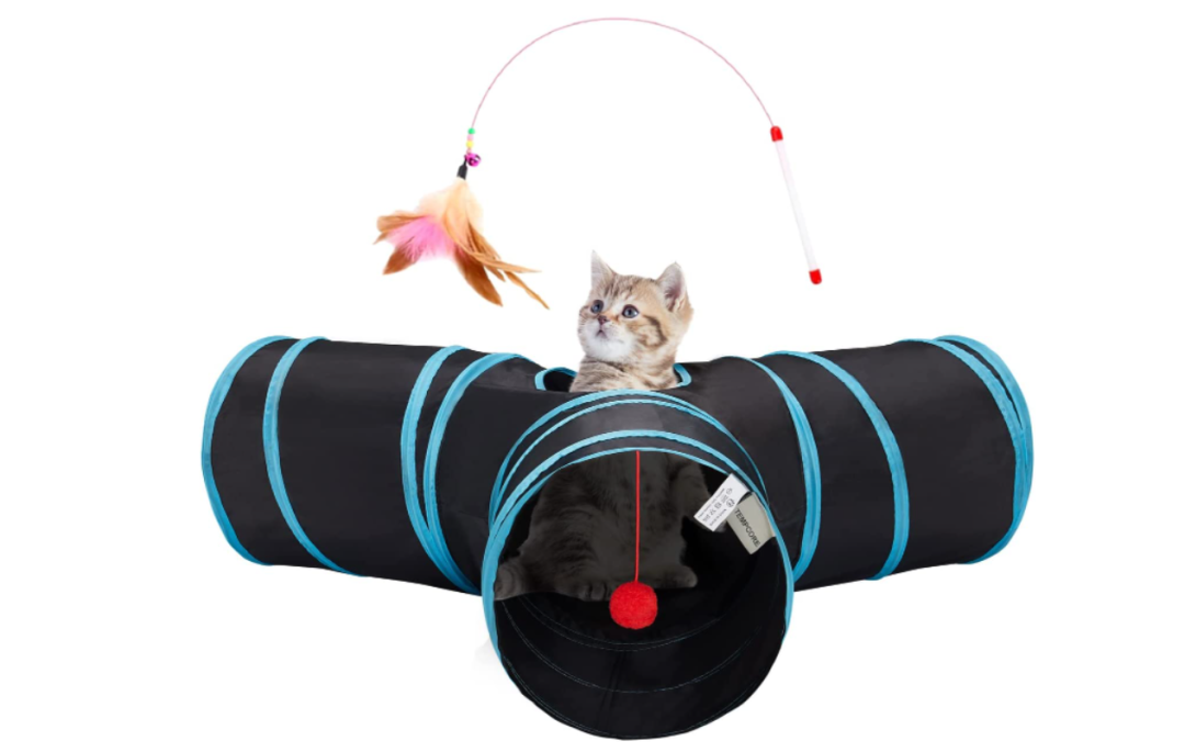 亚马逊每日一店105丨猫咪必备！隧道爆款占领市场头部