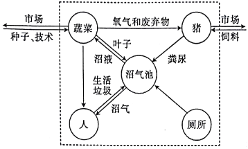 低碳农业新风向新模式组合拳加快农产绿色转型