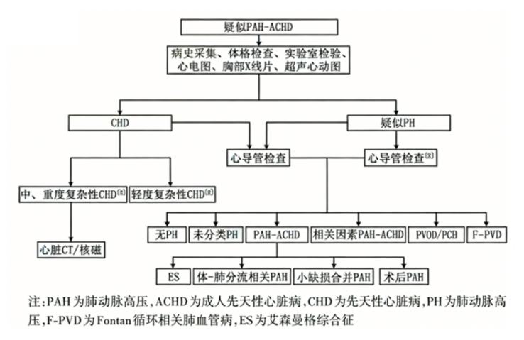 国际首部！《成人先天性心脏病相关肺动脉高压诊断与治疗指南》重磅发布，开启精准诊疗新时代