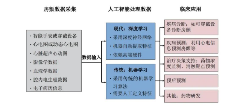 关于房颤的核心知识点，你都掌握了吗？