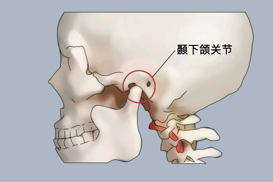 微信图片_20240930100112.png