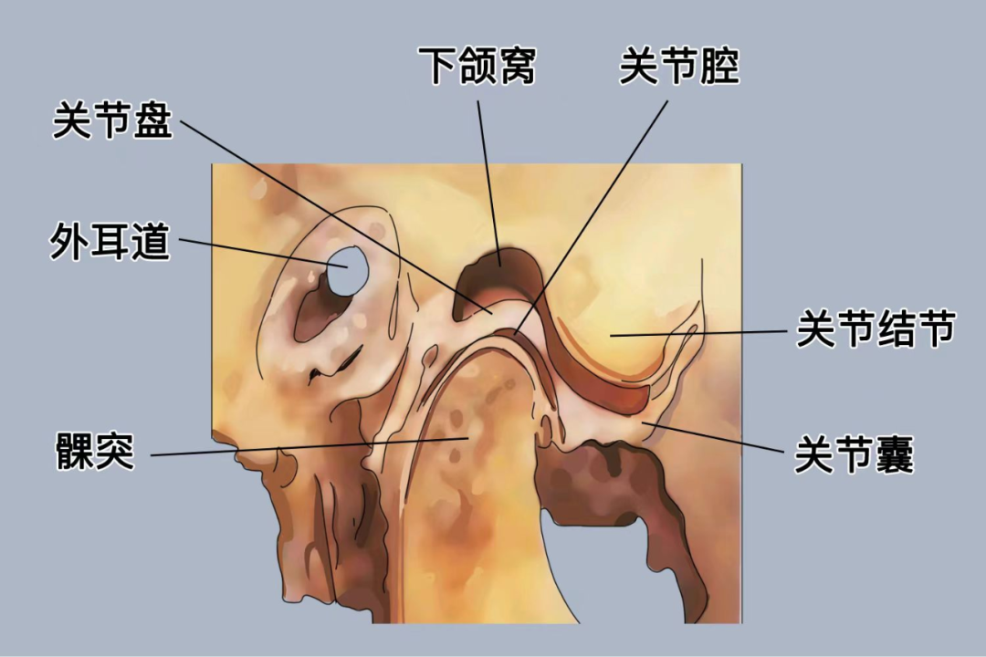 微信图片_20240930100134.png