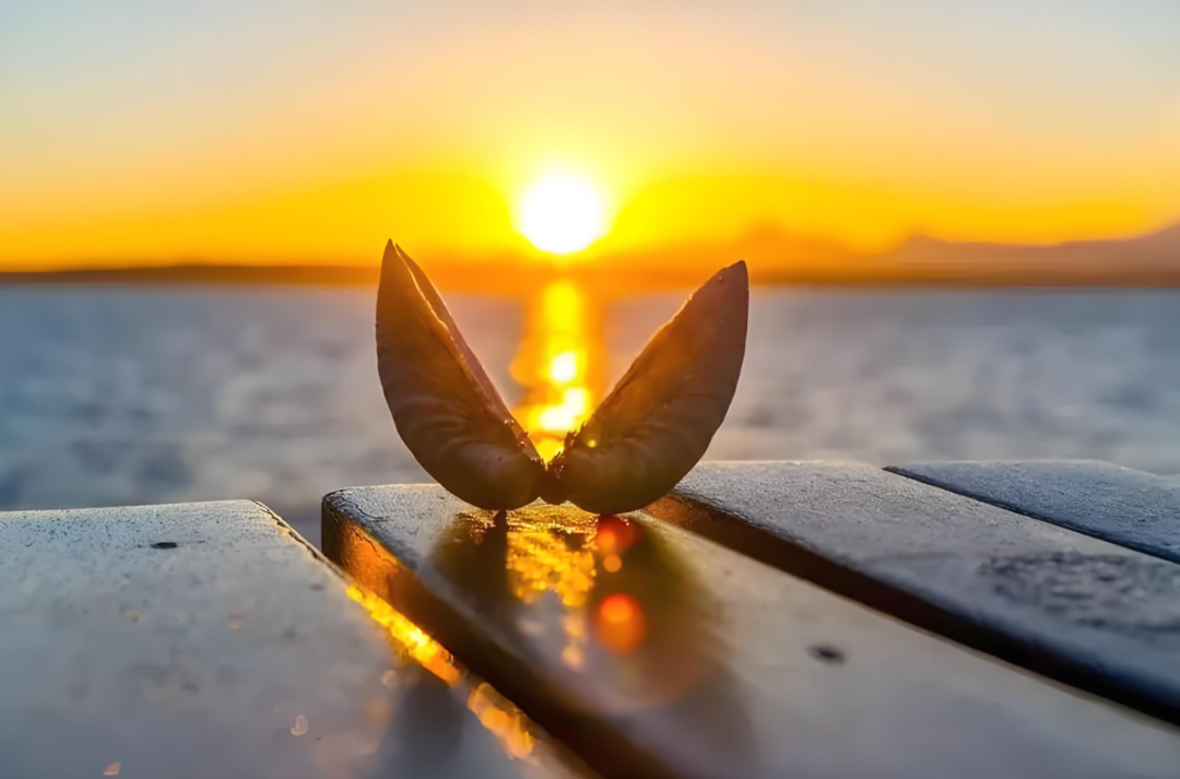 做人，靠心，不靠嘴