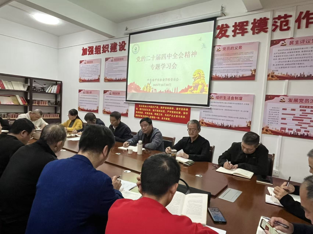 南平市教育系统深入学习贯彻党的二十届四中全会精神