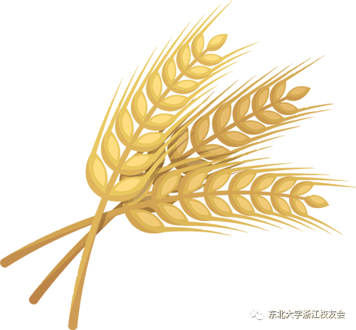 东北大学就业网_东北就业大学网站官网_东北就业信息网