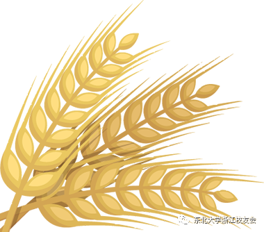 东北就业信息网_东北就业大学网站官网_东北大学就业网