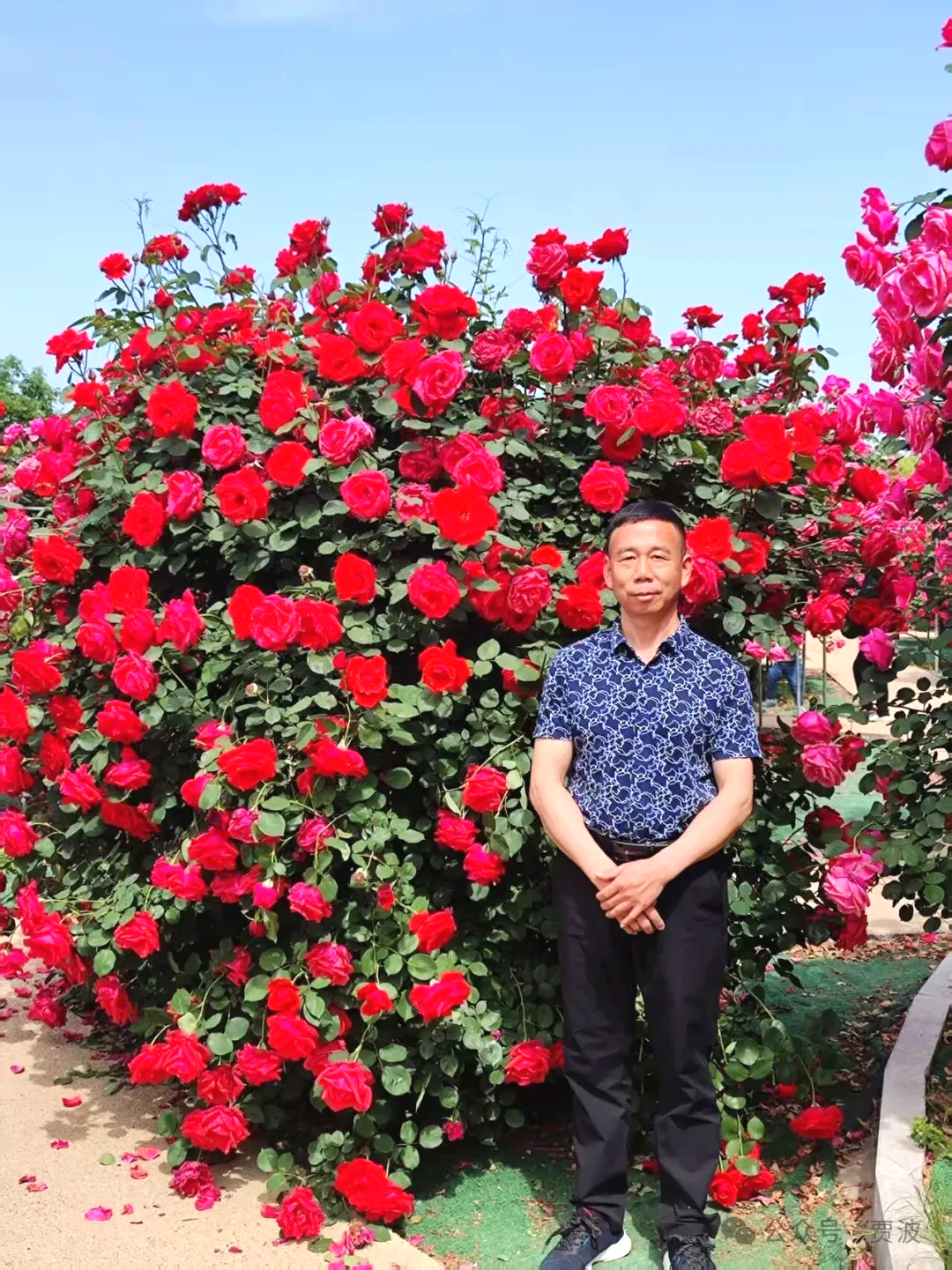 【女性力量中级班】手持心理学证书仍惹媳妇生气？直到她放了个屁，我悟了……