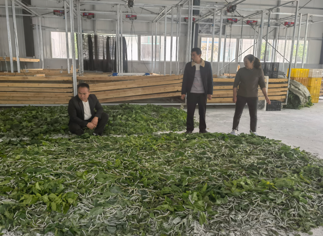 ""