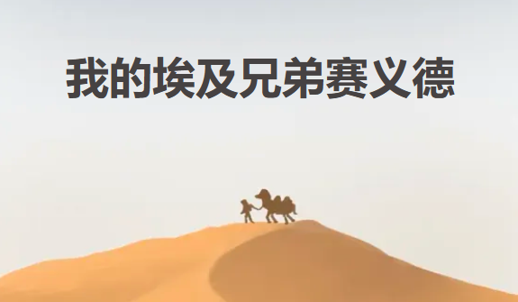 王永 || 我的埃及兄弟赛义德