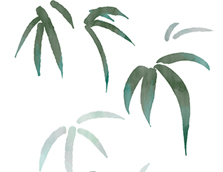 椰树.jpg