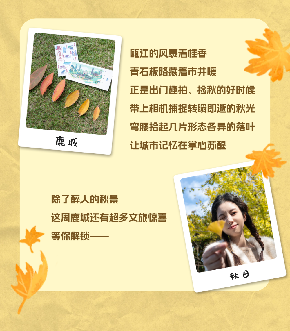 秋日节气科普 - 上传 (2).png