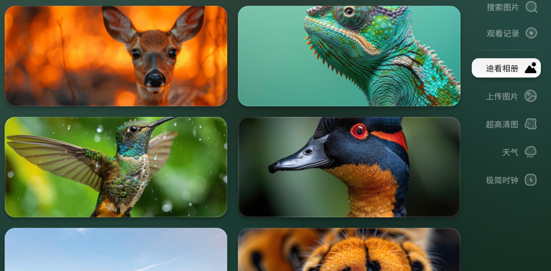 终于有4K画质：Pilim屏保壁纸【TV端】…电视TV版！