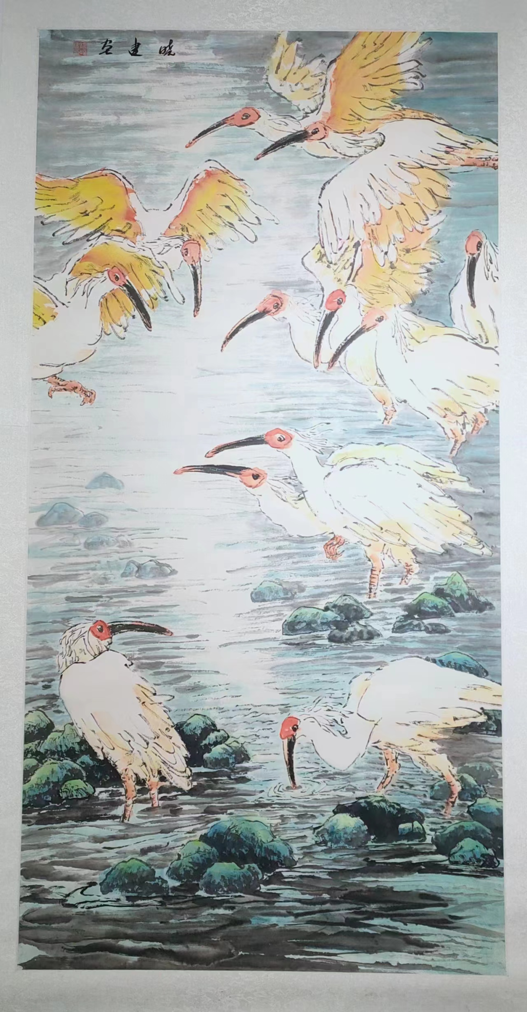 图片