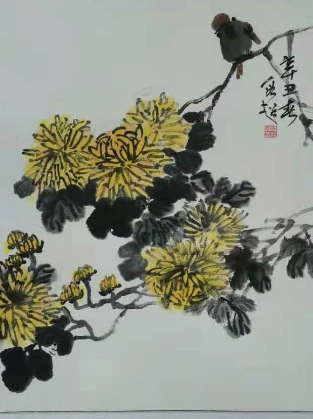 图片