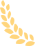 640 - 2024-02-08T164443.152.png