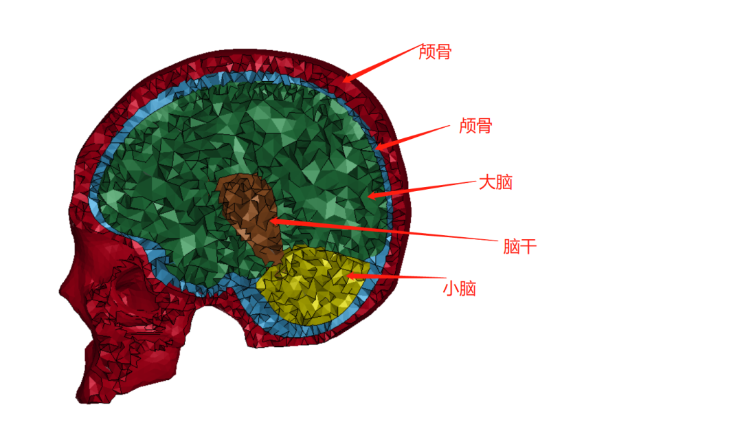 LS-DYNA | 爆炸冲击波对人体头颅作用的图1