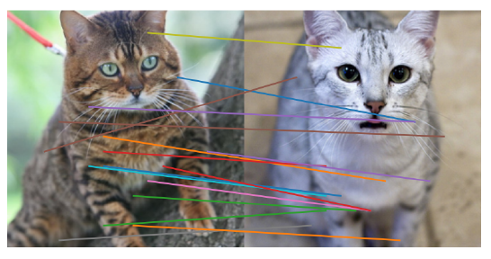 ƻ�����֣�ֻ��һ��ע�����㣬������AIͼ�����ɼȿ��ֺ�