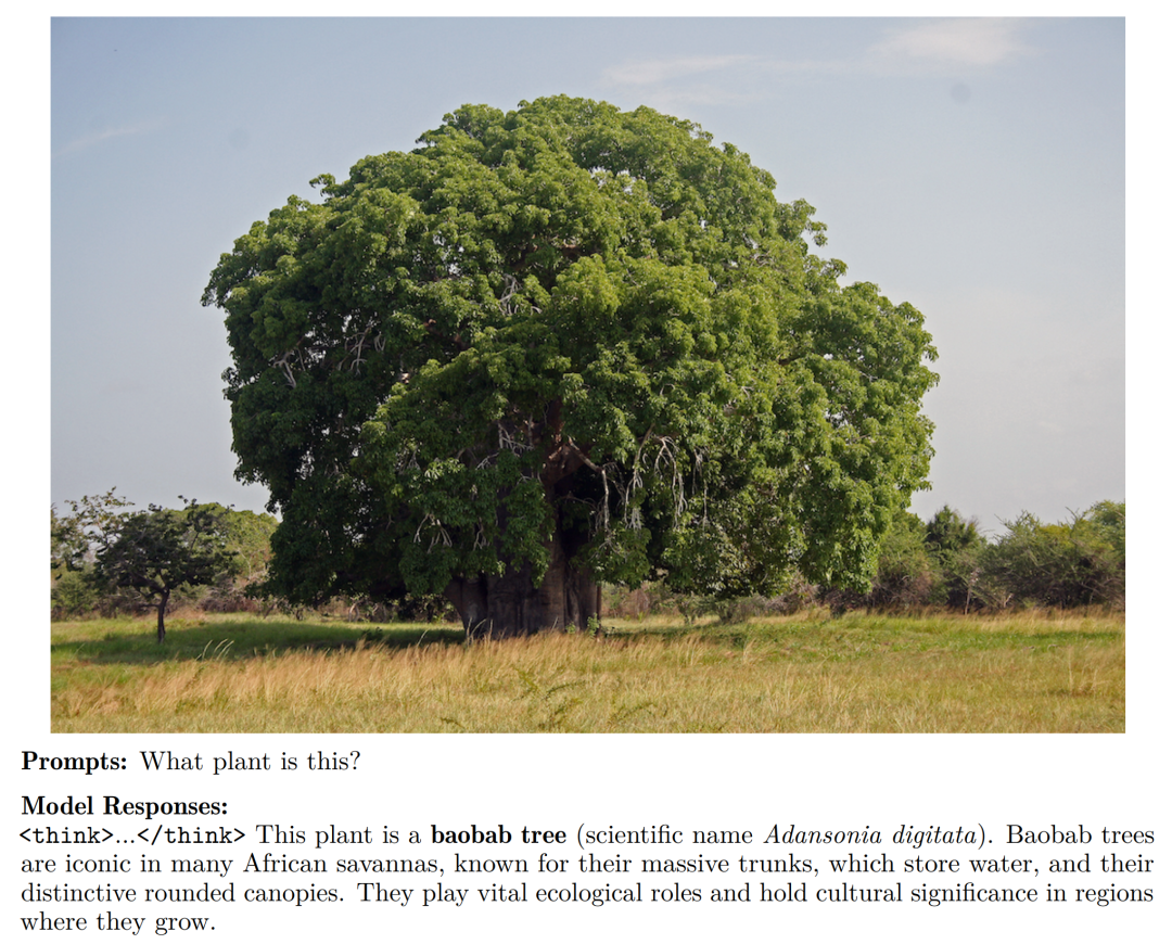 �����Ƴ�Ovis2.5����ģ̬������ģ�͵���һ��Ҫͻ��