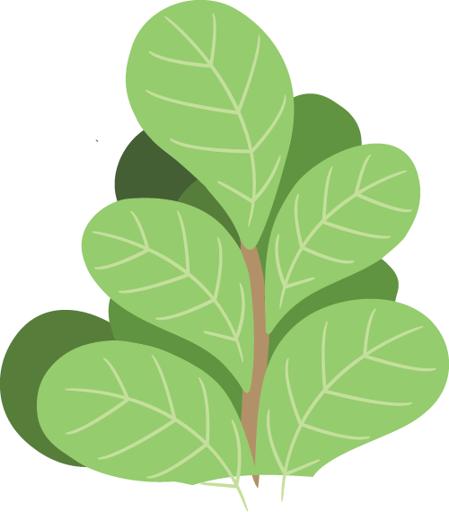 赋能家长 · 守护成长——问题行为家长培训(图7)