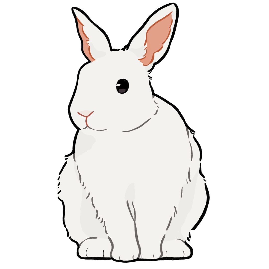 bunny-6037010.png