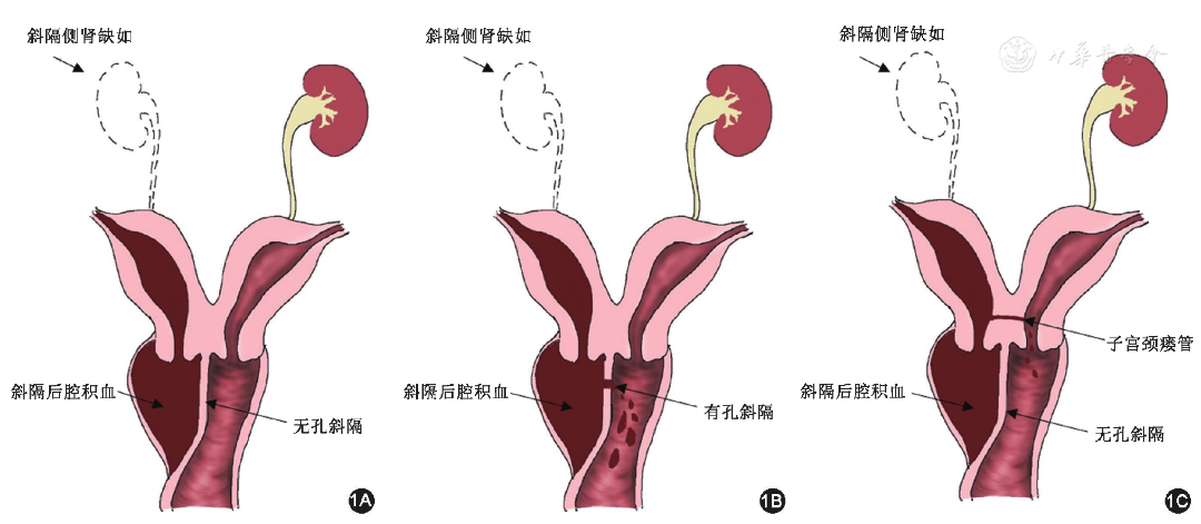 汇聚专业医学学术知识,提供线上线下整体解决方案