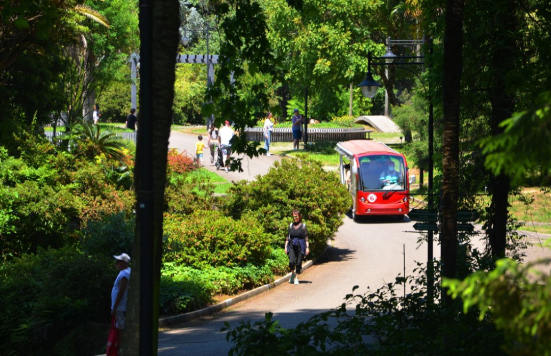刚对华免签！却拒不出席亚运会？这个最欧洲的亚洲小国，到底藏着什么！