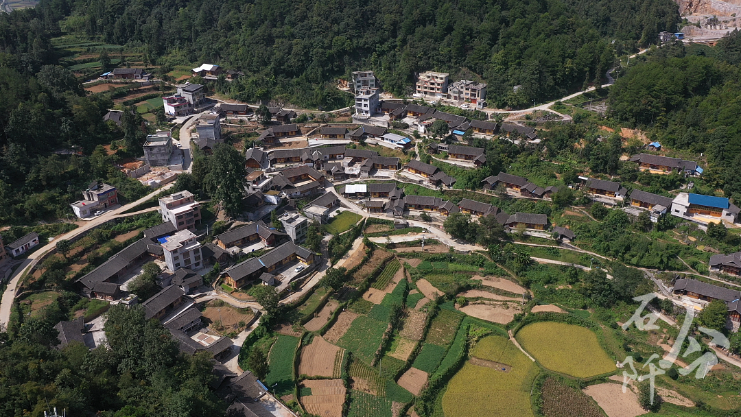 和美乡村石阡古村落龙井乡克麻场村茶叶引领特色产业跑出群众增收致富