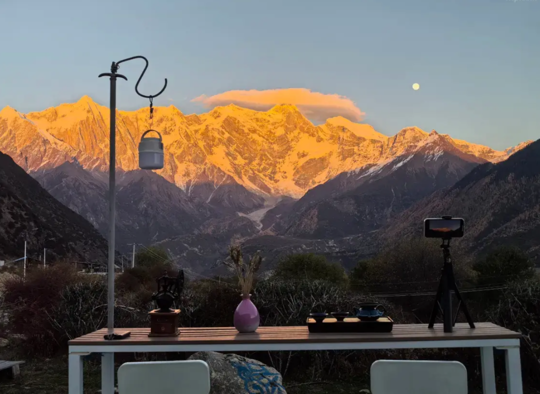 有直飞有高铁！花海美过新疆日本！这座小城凭什么荣登“春日旅行天花板”？