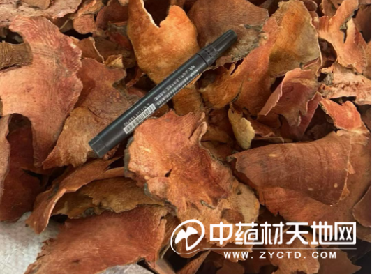 土茯苓行情上涨供需格局拆解