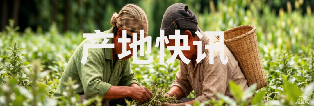 产地快讯（7.15）