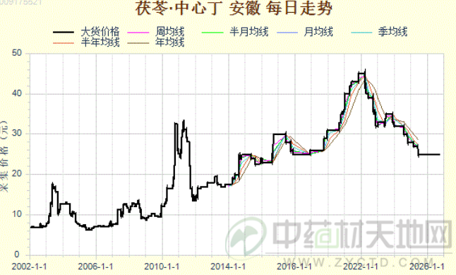 茯苓产新调研：从扩种到2026年产新 底部行情何时突围