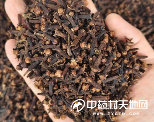 丁香今年行情先扬后抑 后市可能继续面临压力