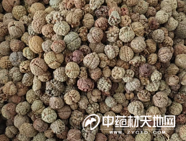 草豆蔻丰产价格回落 行情是否已经触底？