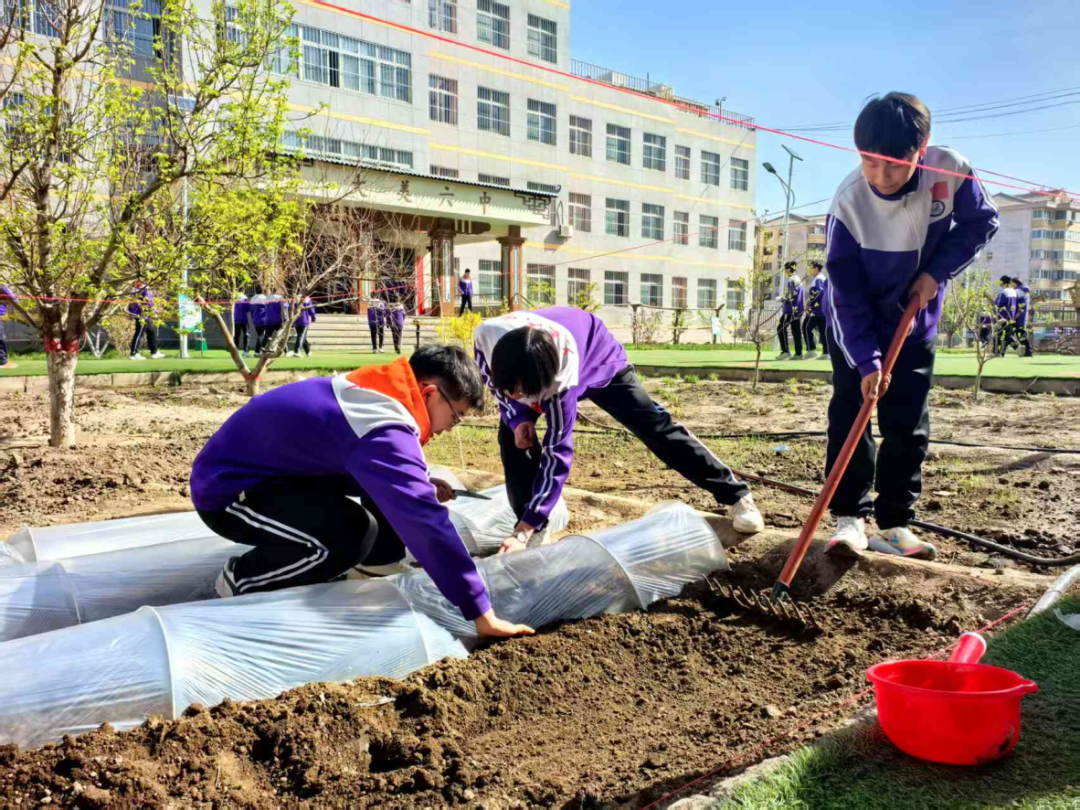 学生实践给植物覆盖地膜.png