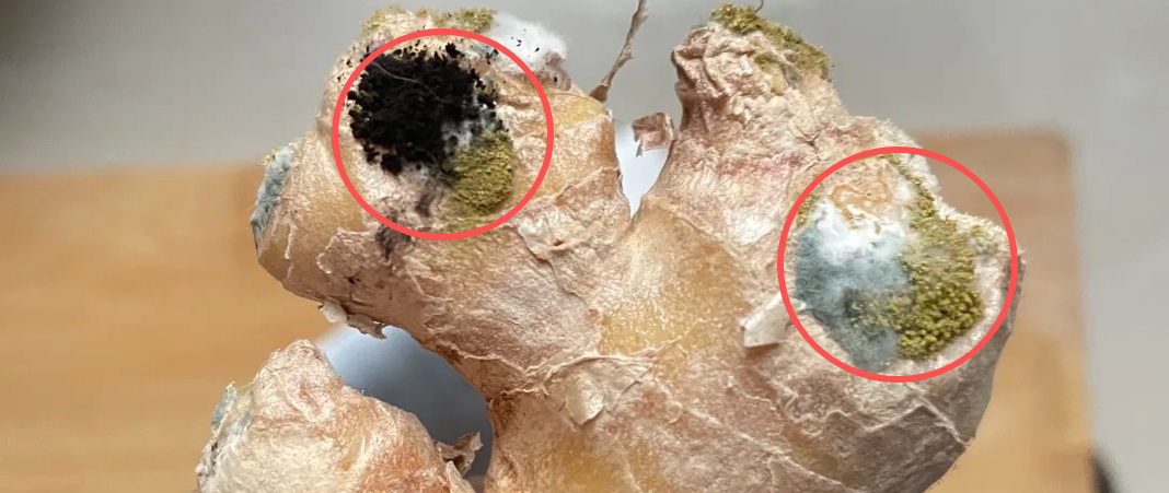 这些食品发霉立马丢掉