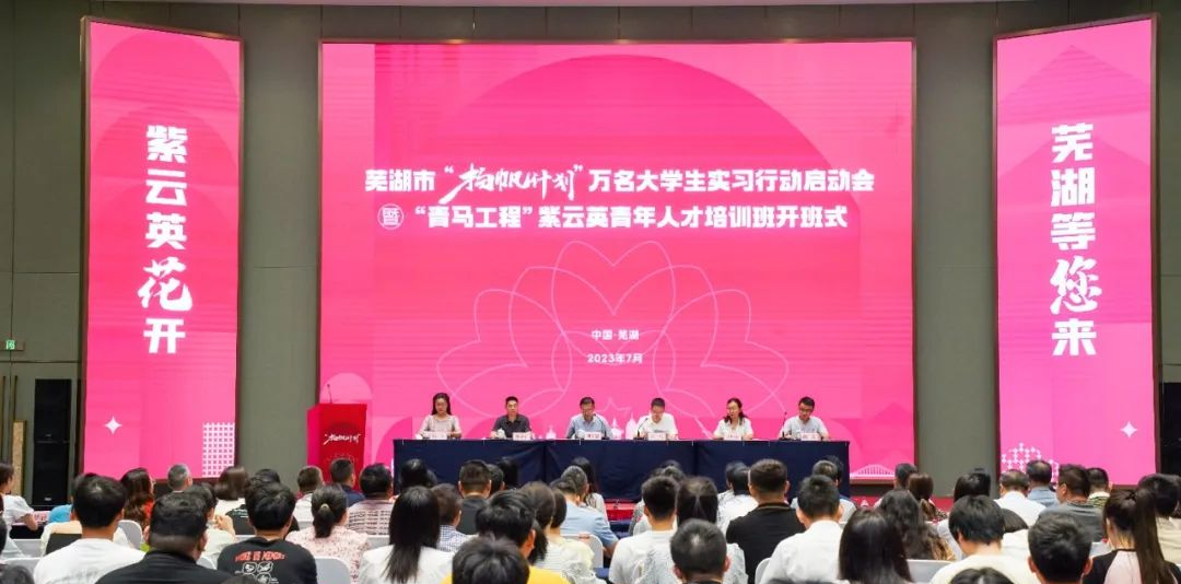 超5000万元!芜湖已发放这项补贴(图3)