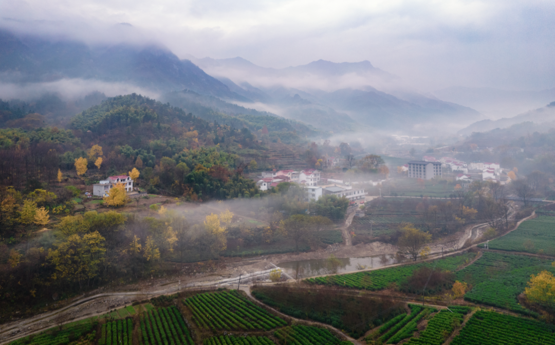 金寨马鬃岭图片