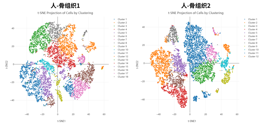 百奧益康骨組織解離試劑盒