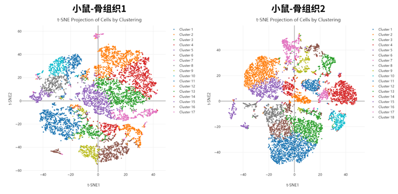 百奧益康骨組織解離試劑盒
