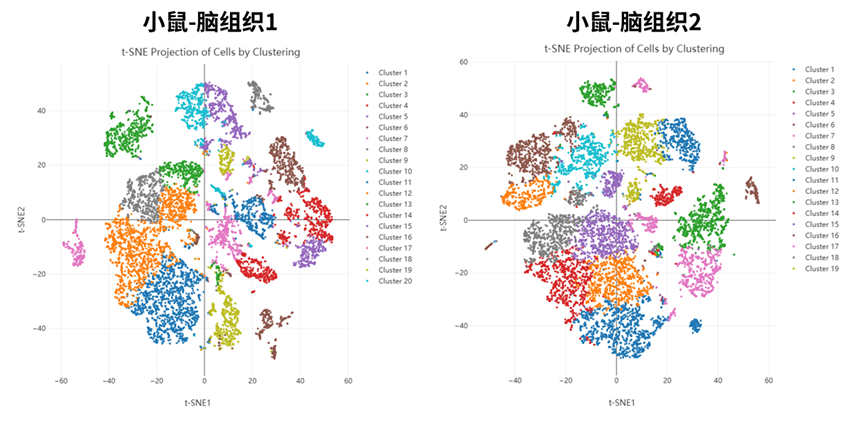 百奧益康小鼠腦組織解離試劑盒
