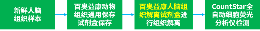 百奧益康人腦組織通用解離試劑盒