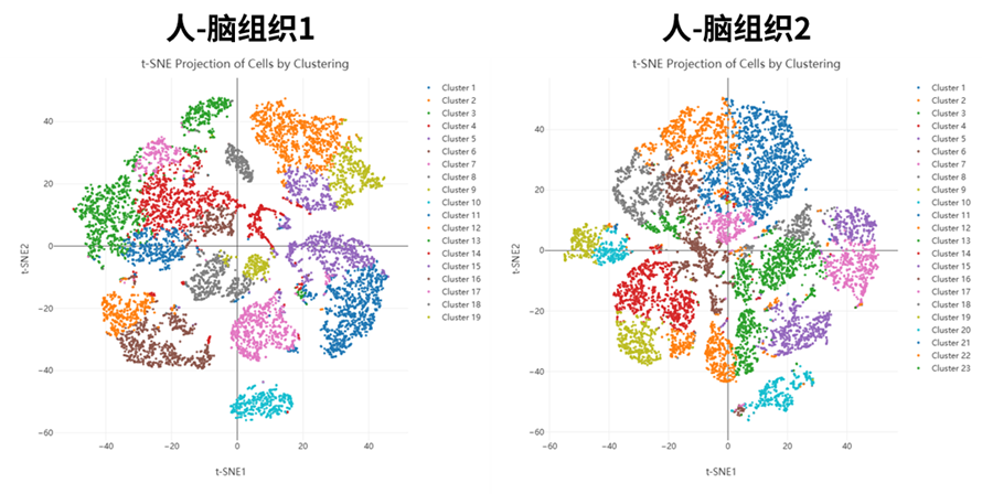 百奧益康人腦組織通用解離試劑盒