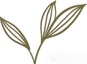 SAPKS01创建成本中心及其注意事项 - 封面图