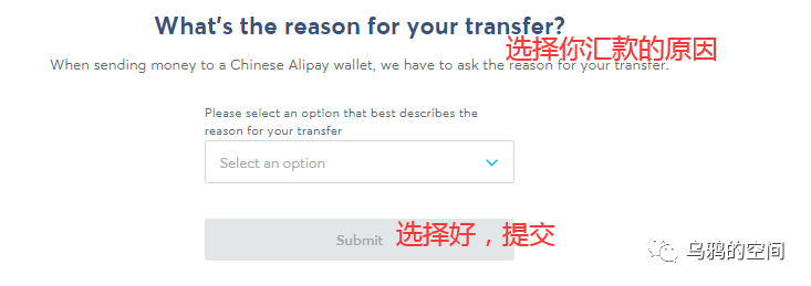 国外LEAD收款渠道介绍：Wise收款教程 第12张
