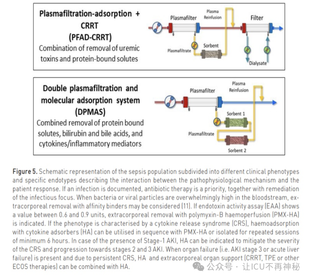 医用吸附药有哪些重症患者的血液吸附治疗，有哪些研究进展？_https://www.jmylbn.com_新闻资讯_第7张