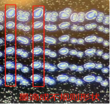 汉印解码——喷印高度对喷印质量的影响(图2)