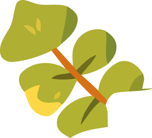 留治针怎么用“针”不一样，留置针使用知多少_https://www.jmylbn.com_新闻资讯_第9张